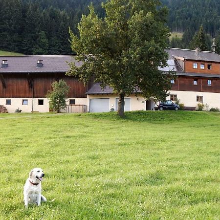 Kiblerhof Apartment Russbach am Pass Gschuett Exterior photo